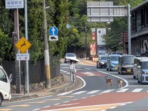 奈良県・京都府・大阪府への出張買取