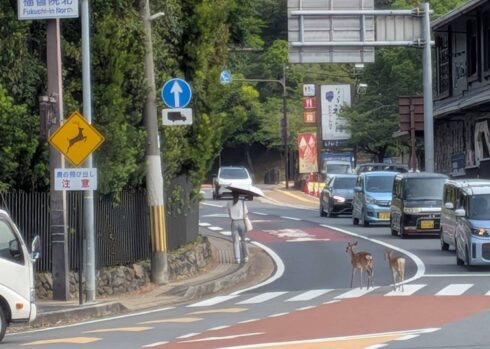 奈良県・京都府・大阪府への出張買取